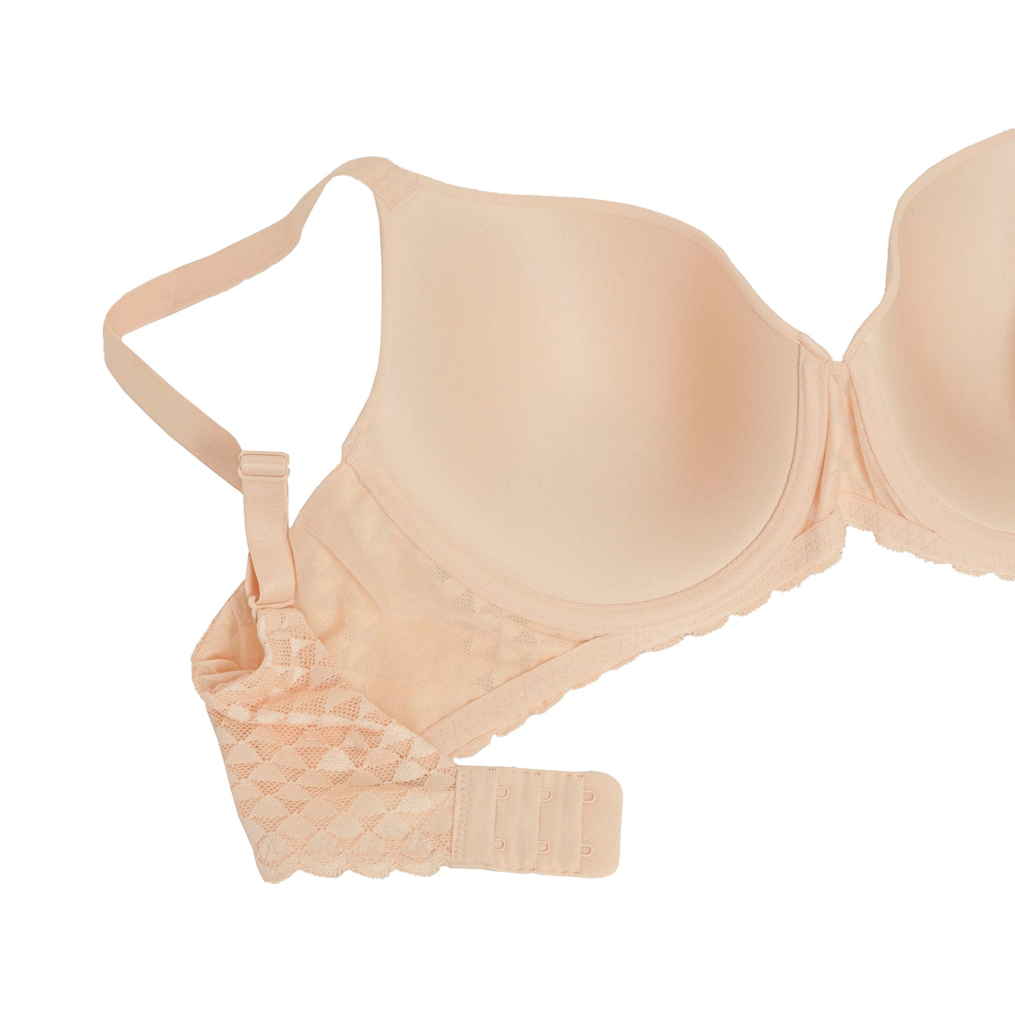 Acousma liemenėlė, kūno sp.